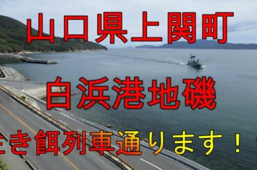 【海中動画】第54巻：山口県上関町白浜港地磯！の巻