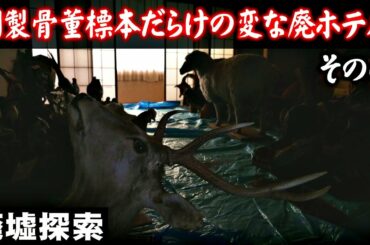 剥製骨董標本だらけの変な廃ホテル -その壱-【廃墟探索】