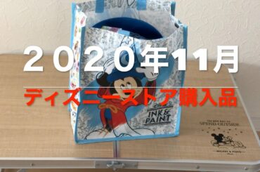 お出かけディズニー　１１月　ディズニーストア購入品（２０２０年）