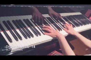 Dichterliebe 詩人の恋 / op48より14番 / R.Schumann /【練習日記】