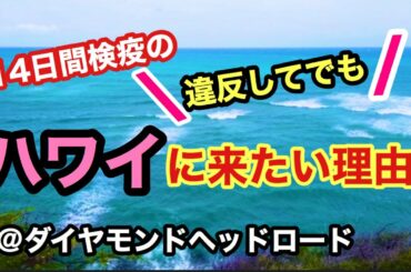 【検疫違反覚悟で本土からハワイに来る人逮捕！】罰金は？それでも訪問者の増加とは？