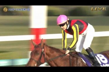 2020　エリザベス女王杯　ラッキーライラック