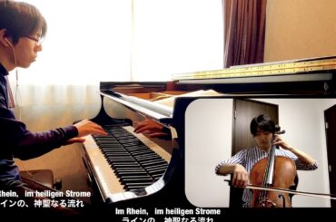 R.シューマン　歌曲《詩人の恋》op.48 第4-6曲（テレワークアンサンブル）チェリスト森山涼介さん　R.Schumann 《Dichterliebe》op.48 Nr.4-6