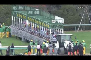 【マイルチャンピオンシップ2020】２階級女王グランアレグリア春秋マイルGⅠ制覇