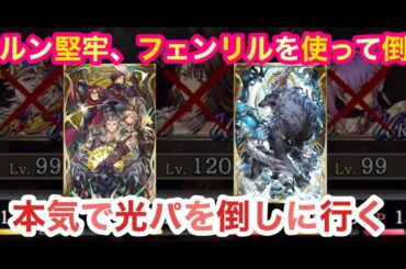 【FFBE幻影戦争】本気で光パを倒しに行く‼️　堅牢、フェンリルを使って倒す👊　 今回は光パを使っています【WAR OF THE VISIONS】