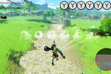 【ゼルダ無双 厄災の黙示録】リーバル モーション集 【Hyrule Warriors: Age of Calamity】