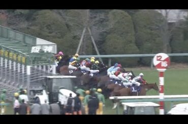 2020 マイルチャンピオンシップ グランアレグリア 脅威の末脚で国内短距離界を制圧