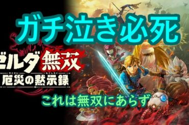 ⚡【ゼルダ無双 厄災の黙示録】使えるキャラクターがどんどん増えていく！ part3