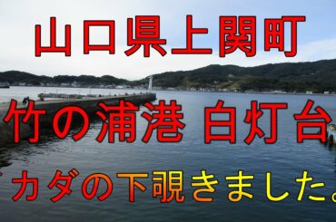 【海中動画】第52巻：山口県上関町竹の浦港白灯台！の巻
