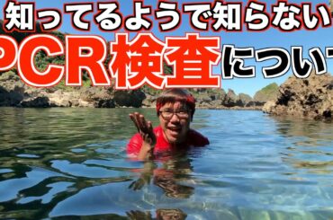 【受ける前に知っておこう！】PCR検査って結局どんな検査なの？