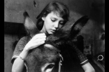 ロベール・ブレッソン監督『バルタザールどこへ行く』『少女ムシェット』デジタルリマスター版予告編