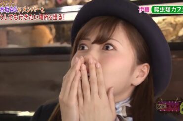 【乃木坂46】お茶目で可愛いまいやんまとめ【白石麻衣】