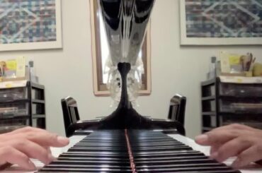 Rシューマン【詩人の恋】2. Aus meinen Tränen sprießen 僕の涙から咲き出るんだ　♫ピアノパートのみ