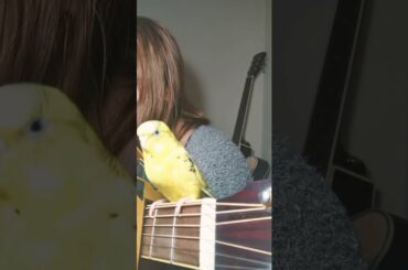 ハナレグミ／深呼吸