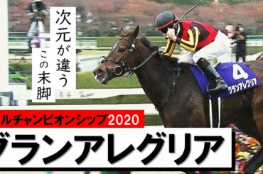 【マイルチャンピオンシップ 2020】快速女王グランアレグリア春秋マイルGⅠ制覇《実況：石田一洋》