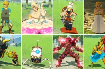 ゼルダ無双厄災の黙示録【Switch】 全キャラ待機モーションまとめ ニンテンドースイッチ