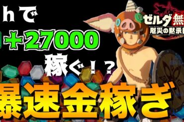 【ゼルダ無双 厄災の黙示録】ルピー稼ぎの決定版！レベルMAXにしながら爆速でルピーを稼ぐ方法【徹底解説】【ゼルダの伝説ブレスオブザワイルド】