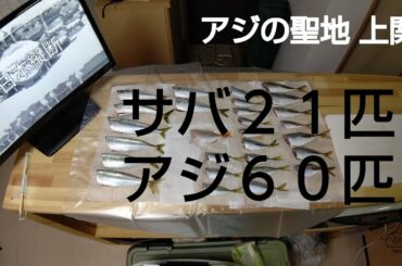 ＜サビキ釣りに大当たり☆サバ２１匹＞＜アジ６０匹＞アジの聖地　上関＜味噌ちゃんぽん＞