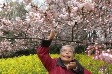 映画「凱歌」予告編