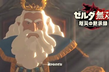 【配信】厄災とゼルダオタク（5章）ゼルダ無双 厄災の黙示録 初見実況