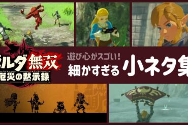 【ゼルダ無双 厄災の黙示録】遊び心がスゴい！ゲームに隠れた細かすぎる小ネタ集〈レウン GAME TV〉