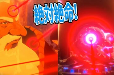 ガーディアンに包囲された王の結末とは【ゼルダ無双 厄災黙示録#20】