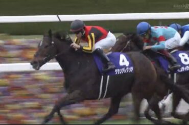 2020 マイルCS　G1 【グランアレグリア】