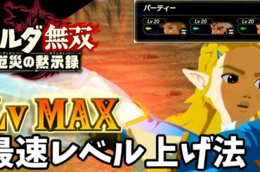 初心者さん必見！体験版でもできる最速のレベル上げ方法を紹介!!【ゼルダ無双　厄災の黙示録】