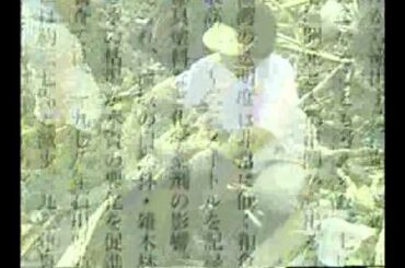 「プラスチックの海」出版と活動news