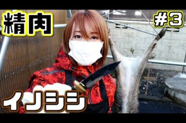 #27【狩猟】2頭の精肉処理2日目！2nd boar meat processing day 2!【狩女子】