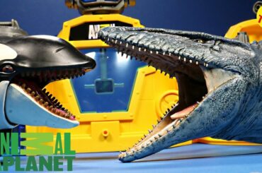 New Animal Planet Deep Sea Lab Mega Playset Mosasaurus Vs KIller Whale Jurassic World Unboxing