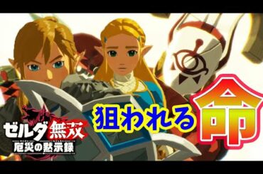 #2【ゼルダ無双】 本日発売！ゼルダ無双 厄災の黙示録 二章から 【switch】実況