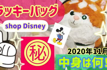 【ラッキーバッグ】ディズニーストア・shopDisney開封してみた！2020年11月