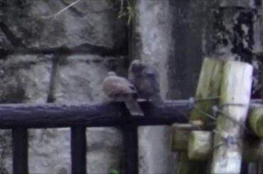 私たちは、｢恋する惑星｣、に生まれた。