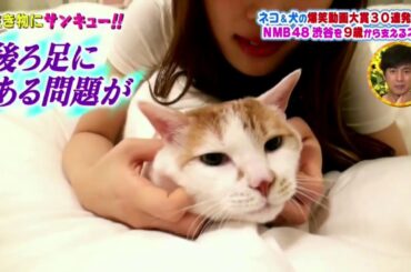 生き物にサンキュー！！ 渋谷凪咲