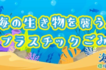 海の環境課〜海の生き物を襲う！プラスチックごみ〜