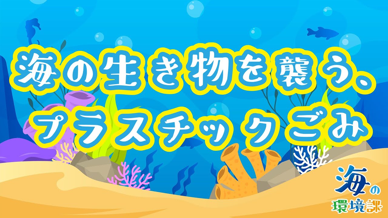 海の環境課〜海の生き物を襲う！プラスチックごみ〜