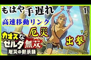 [ゼルダ無双 厄災の黙示録]カオスな厄災ゲーゆっくり実況はじめました。1