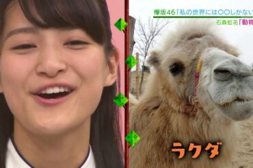 虹色の湖  石森虹花