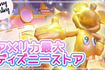 ニューヨークのディズニーストアでお買い物＋購入品紹介！