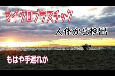 マイクロプラスチック　もはや人体にも入り込んでます