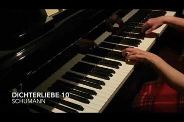 Dichterliebe 詩人の恋 / op48より10番 / R.Schumann /【練習日記】