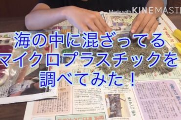 海の中に混ざっているマイクロプラスチックを調べてみた！