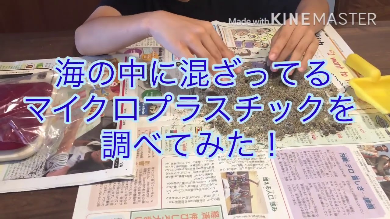 海の中に混ざっているマイクロプラスチックを調べてみた！