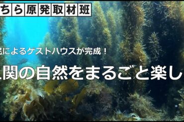 山口・上関原発予定地の自然をまるごと楽しむ
