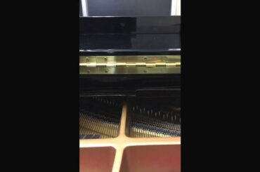 空に住む Living in your sky        by miu