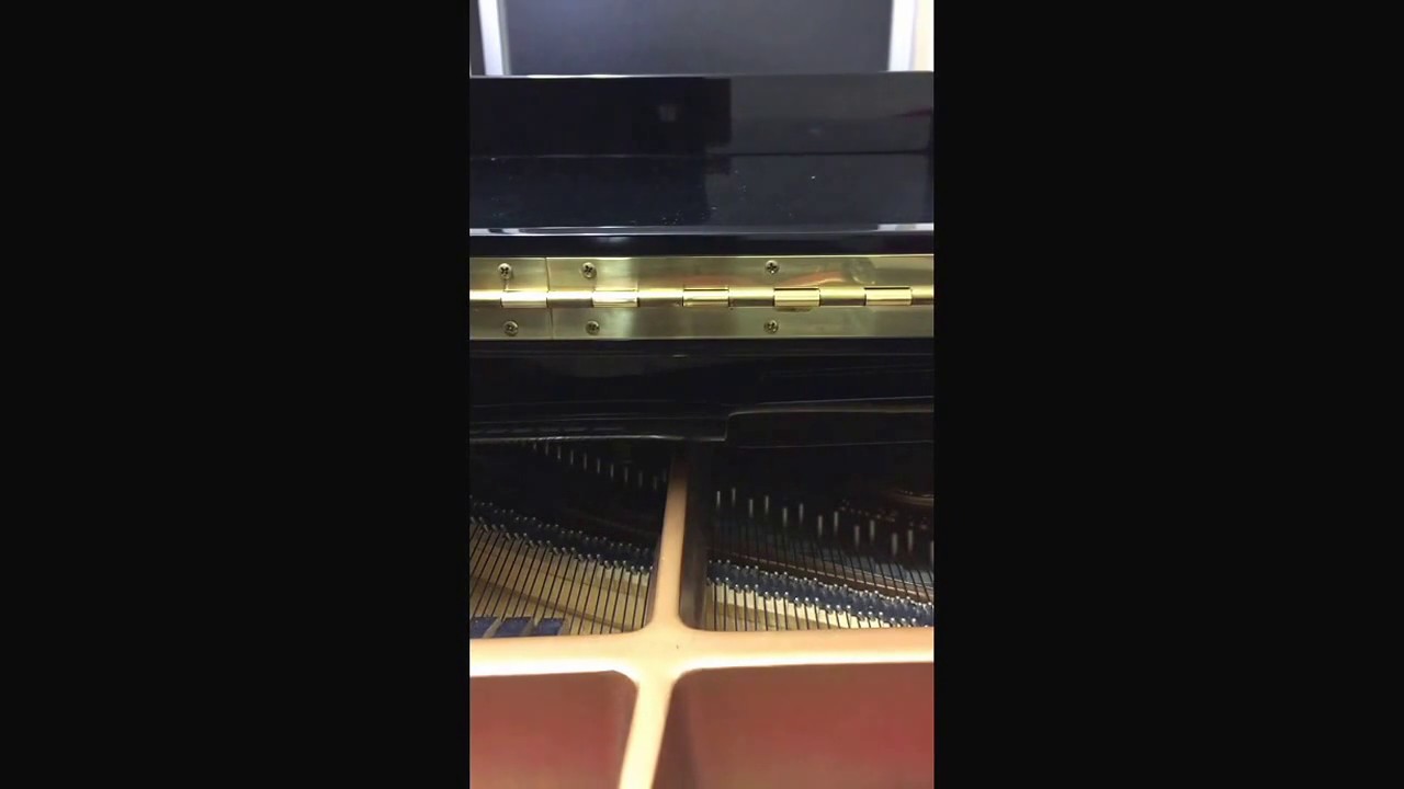 空に住む Living in your sky by miu 空に住む Living in your sky by miu