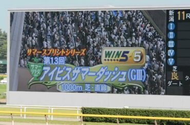 【ファンファーレ】第13回アイビスサマーダッシュ (ＧⅢ)