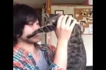 King Gnu 井口理と猫