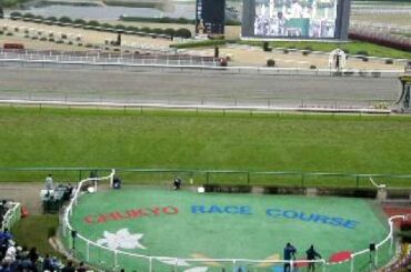 2010年　中京サンクスプレミアム　ファンファーレ